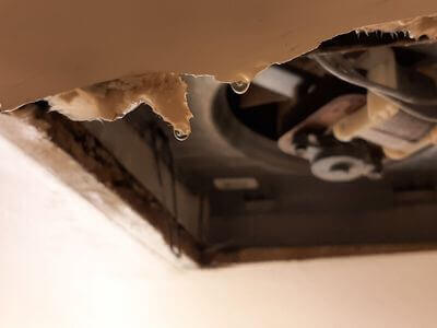 Professional water damage restoration services in Goodyear - Water Damage Restoration Goodyear